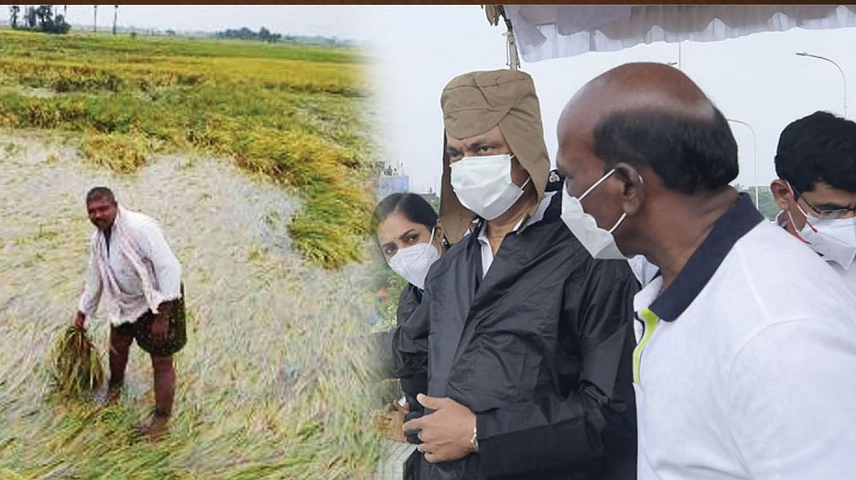 பயிர் சேதங்களை ஆராய அமைச்சர் ஐ.பெரியசாமி தலைமையில் குழு அமைப்பு - முதல்வர் துரித நடவடிக்கை!