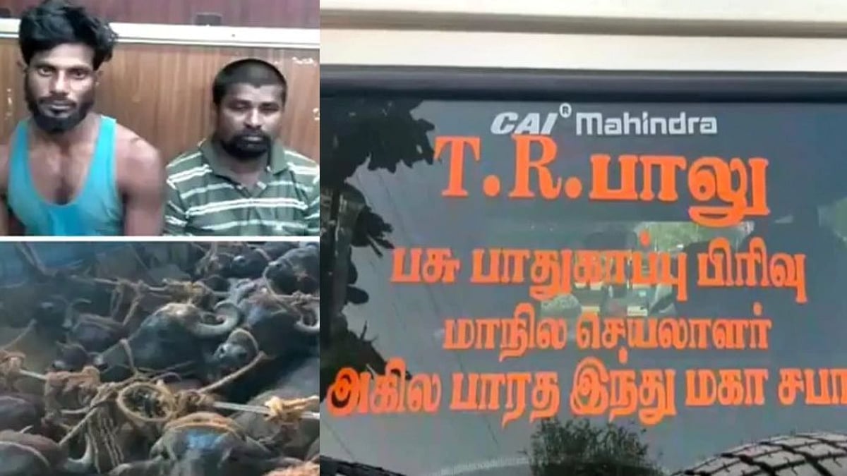 திருச்சியில் லாரியை மடக்கி வழிப்பறி; போலிஸில் சிக்கிய பசு பாதுகாவலர்கள் - வசூல் வேட்டை நடத்தியது அம்பலம்!