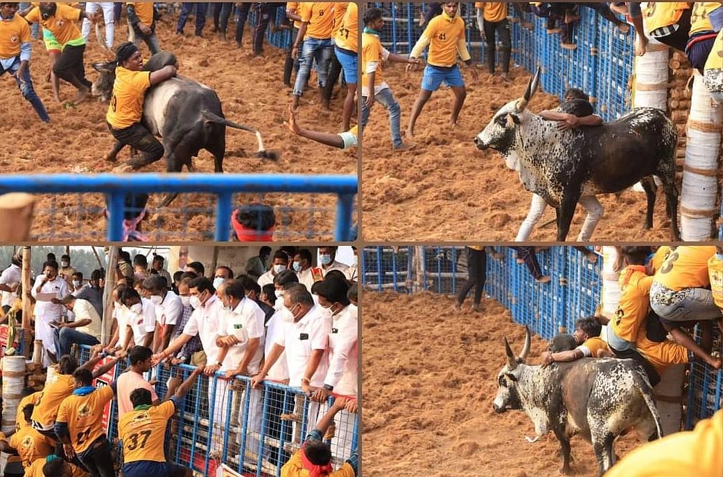 கோவை ஜல்லிக்கட்டு நிறைவு - அசத்திய காளைகள்... 21 காளைகளை அடக்கிய வீரருக்கு கார் பரிசு!