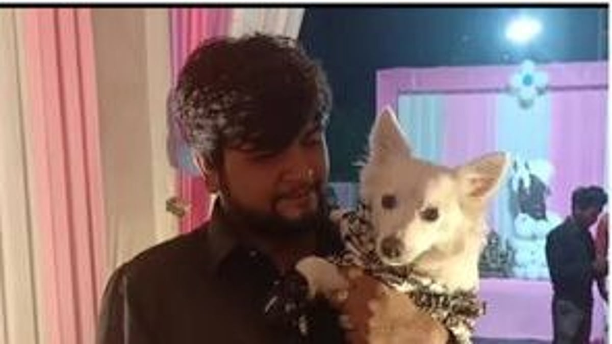 ₹7 லட்சம் செலவில் நாய்க்குட்டிக்கு பிறந்தநாள் கொண்டாட்டம்.. உரிமையாளர் உட்பட 3 பேர் கைது : நடந்தது என்ன?