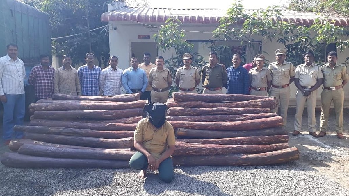 ’புஷ்பா தக்கதிலே..’ புஷ்பா படம் பார்த்து செம்மரம் கடத்தல்; மராட்டிய போலிஸிடம் வசமாக சிக்கிய லாரி டிரைவர்!