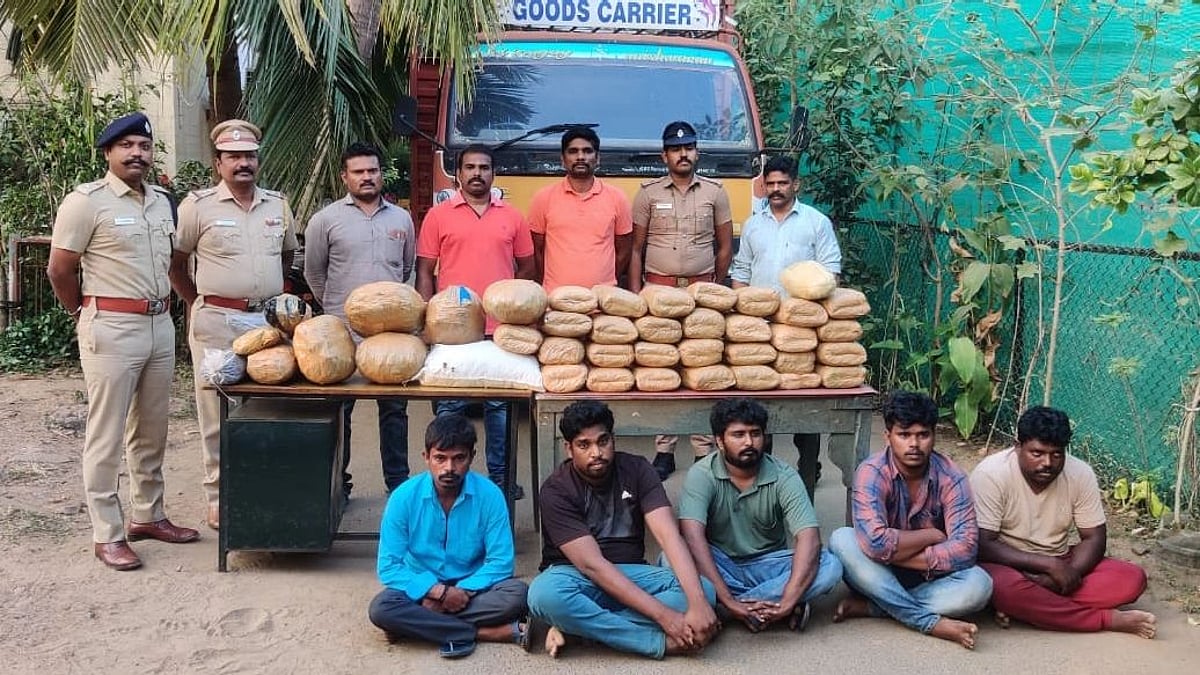 தமிழகம் முழுவதும் கஞ்சா சப்ளையா? ஆந்திர கும்பலின் திட்டத்தை முறியடித்து அதிரடி காட்டிய சென்னை போலிஸ்!