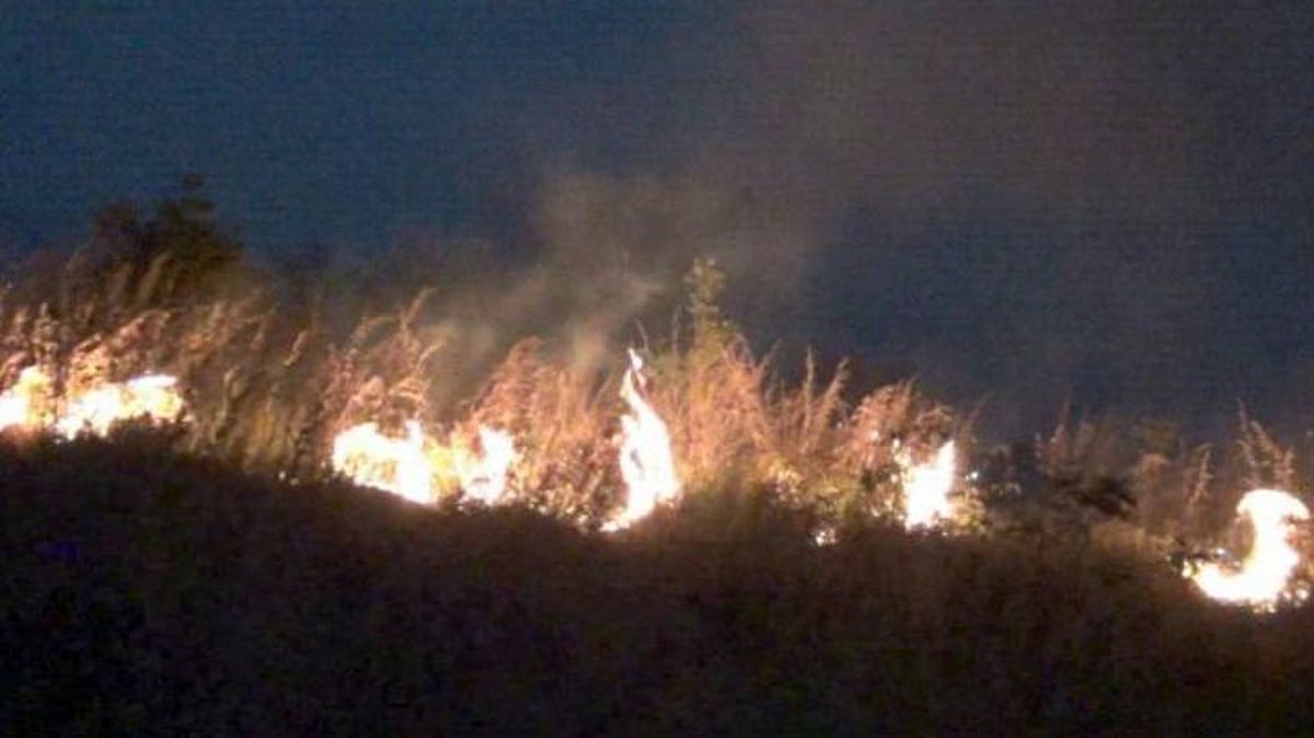 நியூட்ரினோ ஆய்வு மையம் அமையவுள்ள மலைப்பகுதியில்  பற்றி எரியும் காட்டுத்தீ.. அதிரடி ஆக்‌ஷனில் வனத்துறை !