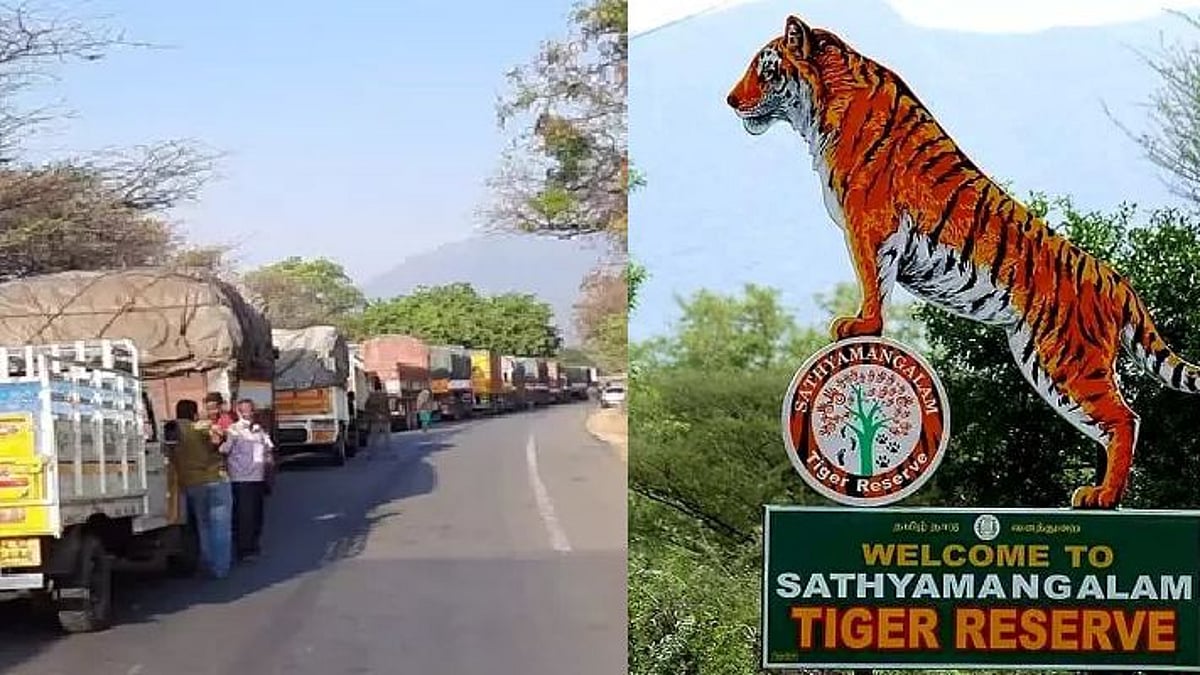 சத்தியமங்கலம் சாலை : கனரக வாகனங்களுக்கு தடை - உயர் நீதிமன்றம் விதித்துள்ள புதிய கட்டுப்பாடுகள் என்னென்ன?