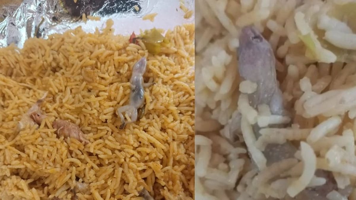 அமித்ஷாவை எதிர்த்து போராடியவர்களுக்கு பல்லி விழுந்த பிரியாணி கொடுத்த போலிஸ்.. புதுவையில் பரபரப்பு!