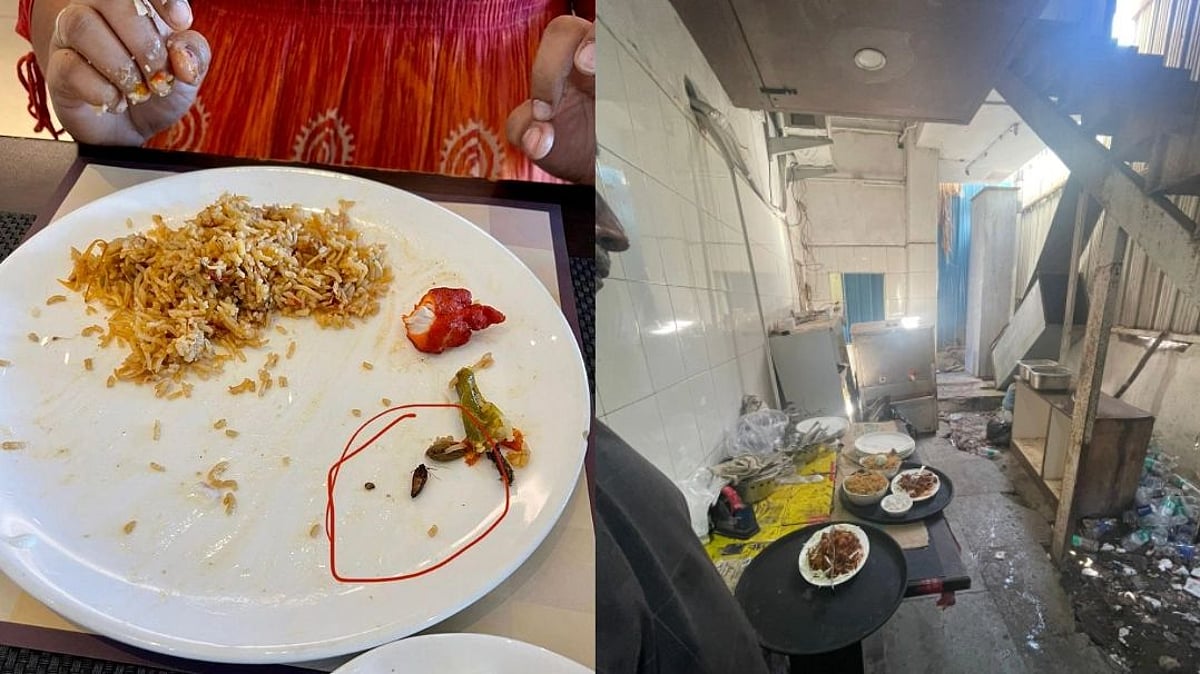 பிரியாணியில் கறிக்கு பதில் கரப்பான் பூச்சி.. சென்னையில் பிரபல ஹோட்டலை பூட்டி சீல் வைத்த உணவுத் துறையினர்!