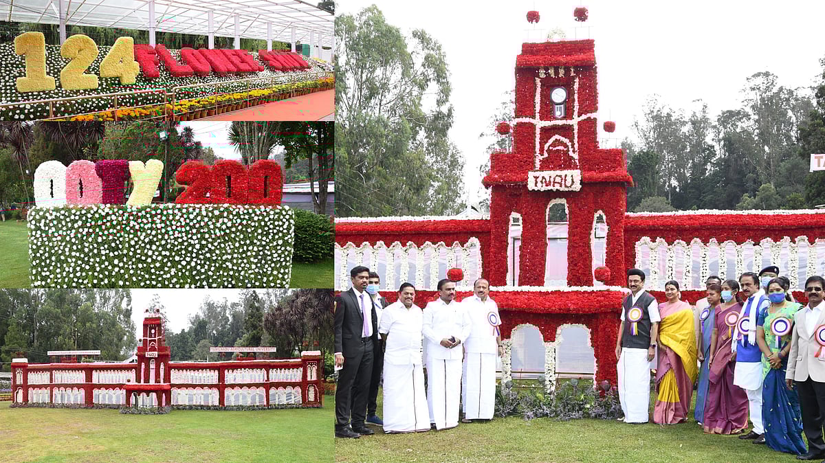 ஊட்டி மலர் கண்காட்சி: பூத்துக்குலுங்கும் 1 லட்சம் மலர்கள்.. என்னென்ன பூக்கள் இடம் பெற்றுள்ளது தெரியுமா?