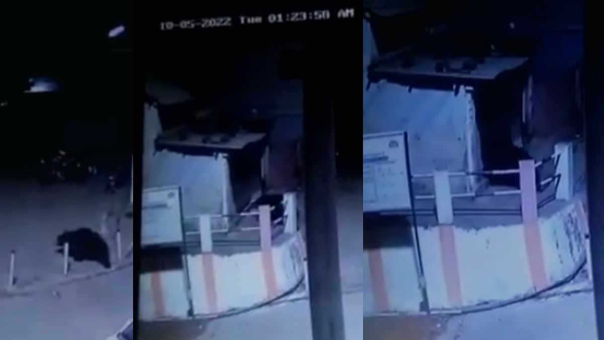 யாராவது இருக்கீங்களா?.. வீட்டு காலிங் பெல் அடித்து அச்சமூட்டிய கரடி.. அதிர்ந்துப்போன குன்னூர் மக்கள்!