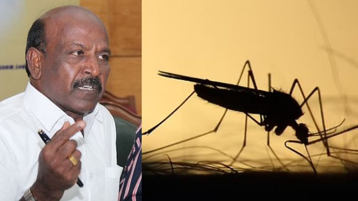 கேரளாவை தாக்கிய West Nile வைரஸ்.. தமிழ்நாட்டிற்கு ஆபத்தா?: அமைச்சர் மா.சுப்பிரமணியன் கூறுவது என்ன?