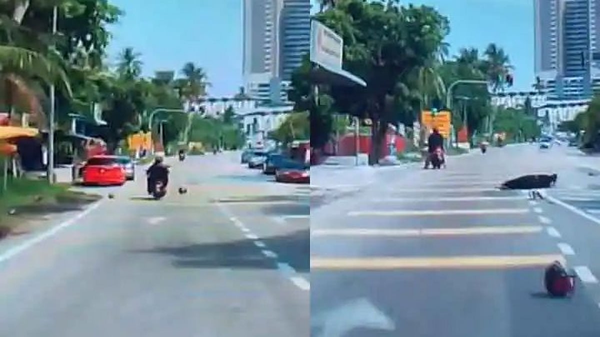 பைக்கில் சென்ற பெண்ணின் தலையில் விழுந்த தேங்காய்.. இணையத்தில் வலம்வரும் அதிர்ச்சி வீடியோ! 