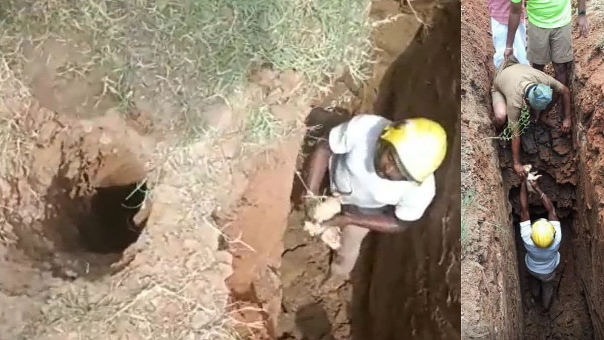 ஆழ்துளை கிணற்றில் விழுந்த நாய் குட்டி.. 5 மணி நேரத்தில்  மீட்பு: தீயணைப்புத் துறைக்கு குவியும் பாராட்டு!