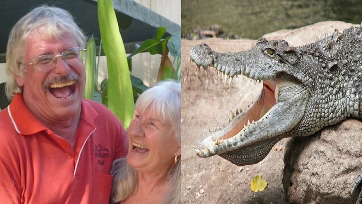 முறத்தால் புலியை விரட்டுவது போல முதலையை விரட்டிய முதியவர்.. இணையத்தில் பரவும் வைரல் வீடியோ! 