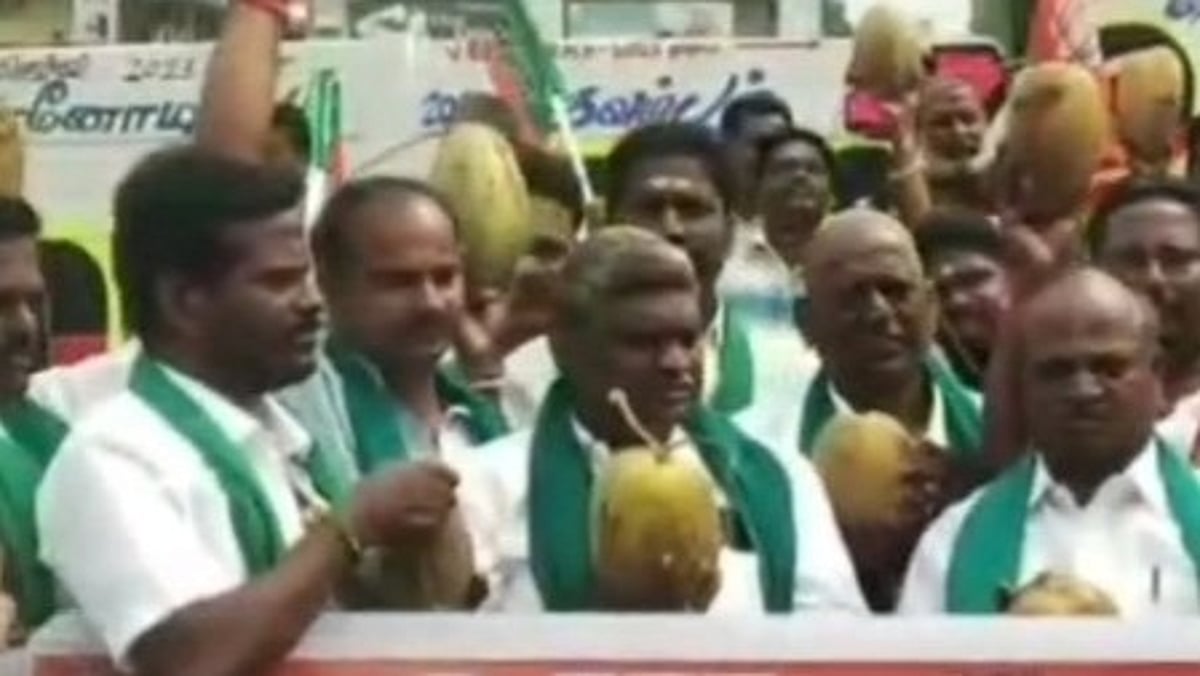 தேங்காயா? இளநீரா?... பாவம் அவங்களே குழம்பிட்டாங்க:  பா.ஜ.க நடத்திய ஆர்ப்பாட்டத்தால் எழுந்த சிரிப்பலை!