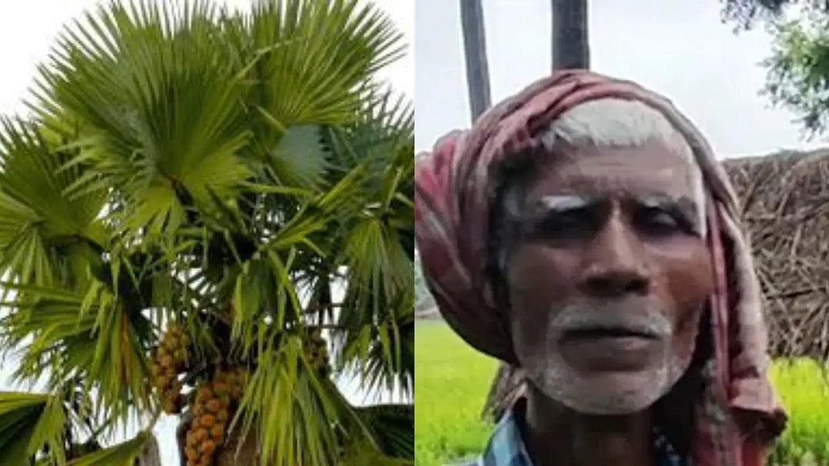 FotoJet_2022_08_27T175216_757_166160325816x9.webp?auto=format,compress&format=webp&w=720&dpr=1.0