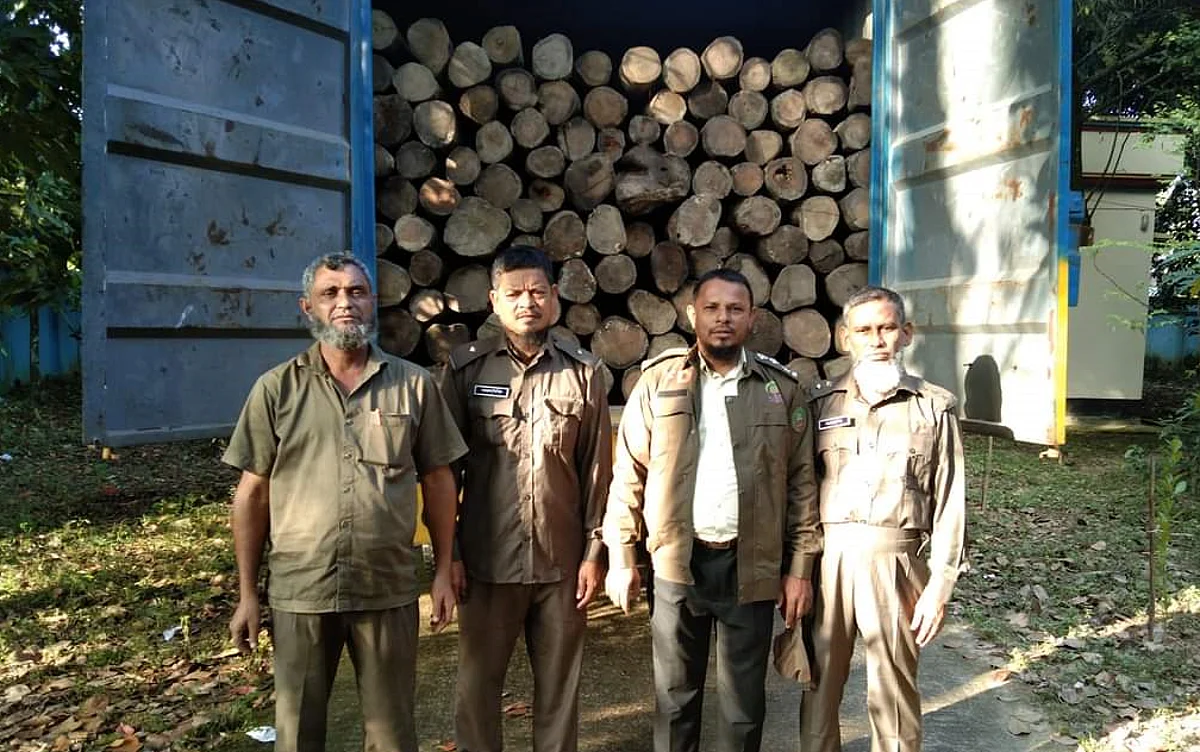 ফেনী সামাজিক বন বিভাগ ২০০ ঘনফুট অবৈধ সেগুন কাঠ উদ্ধার করে।