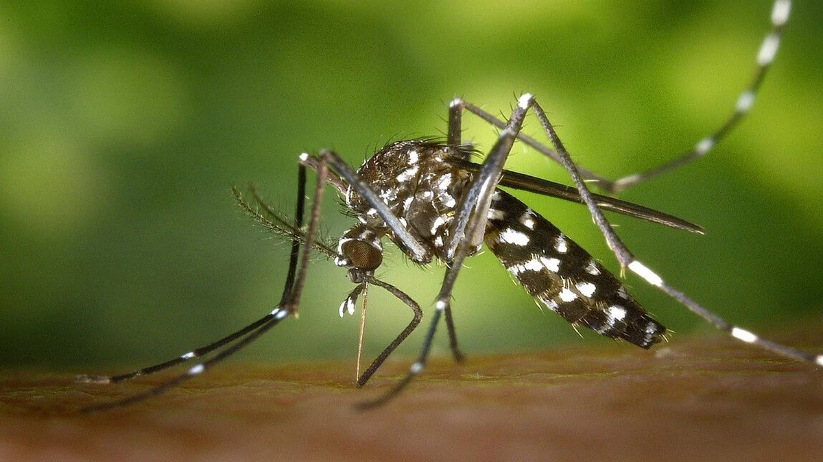 প্রতীকী ছবি