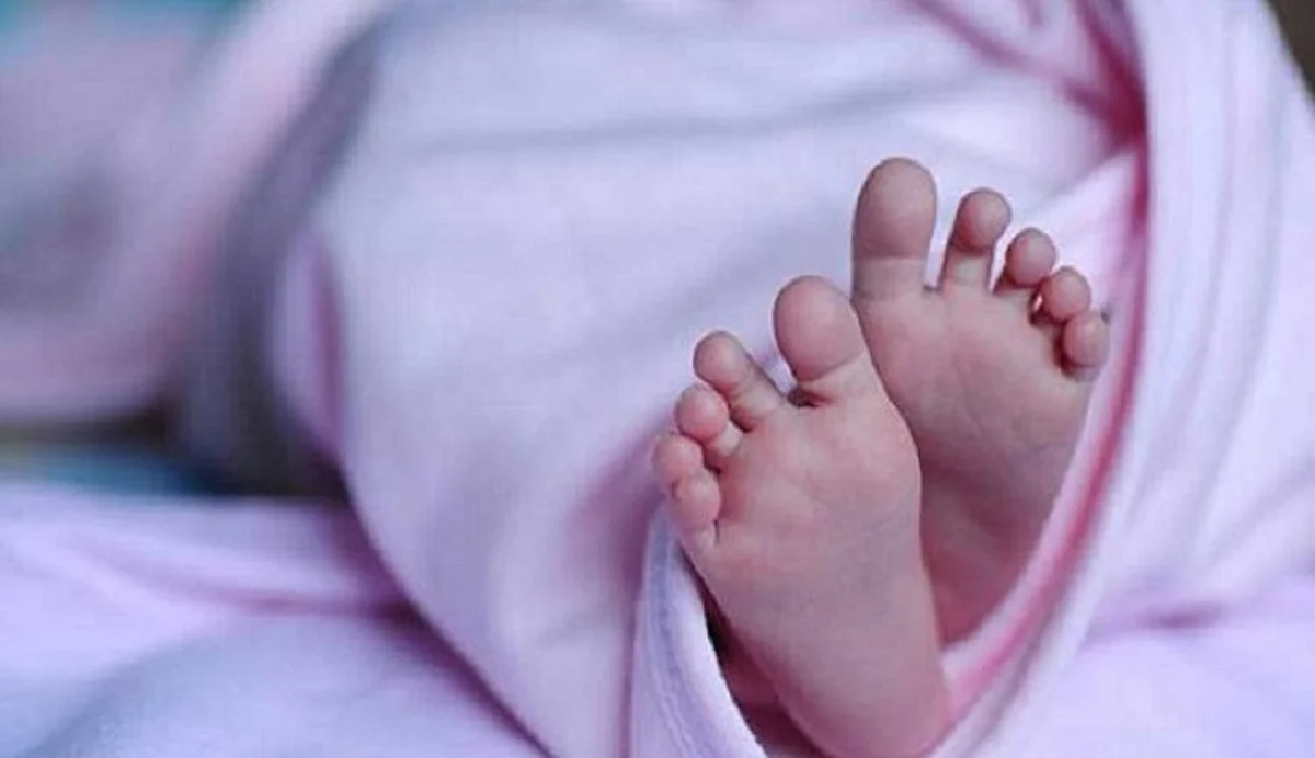 প্রতীকী ছবি