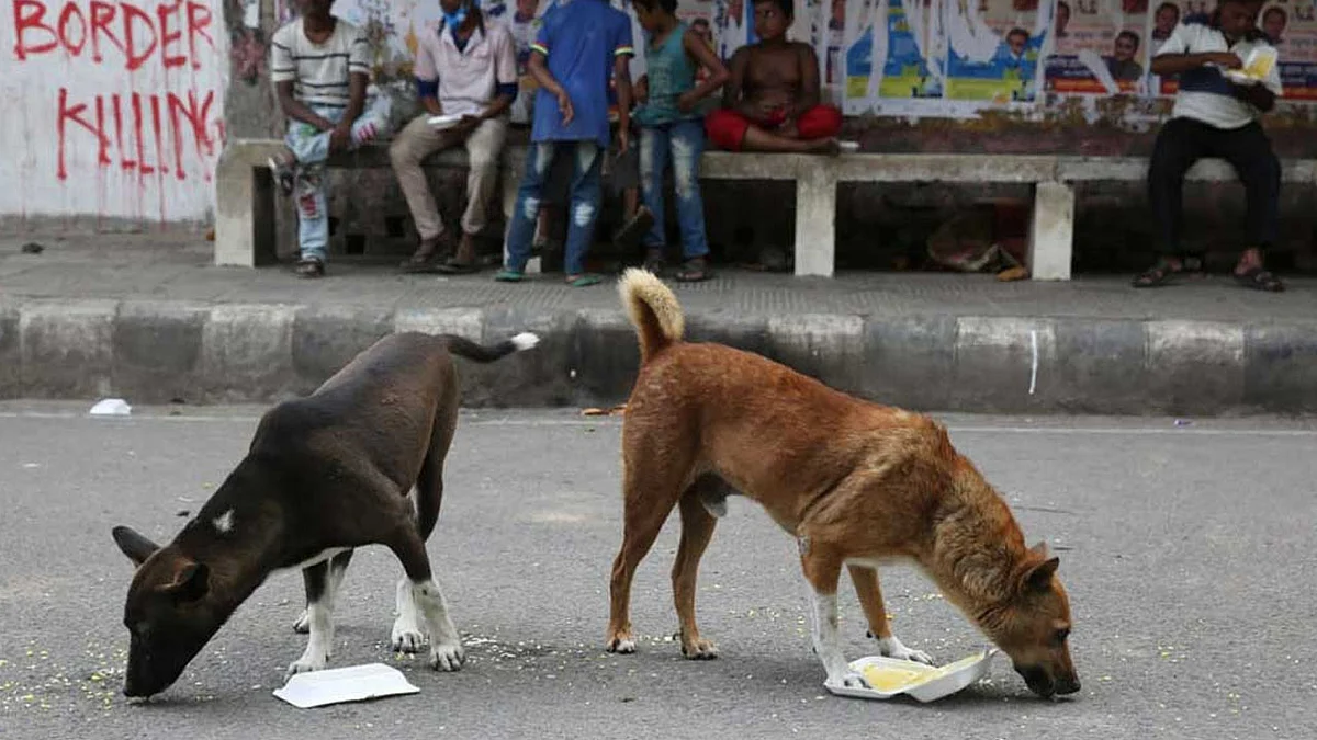 পুরোনো ছবি