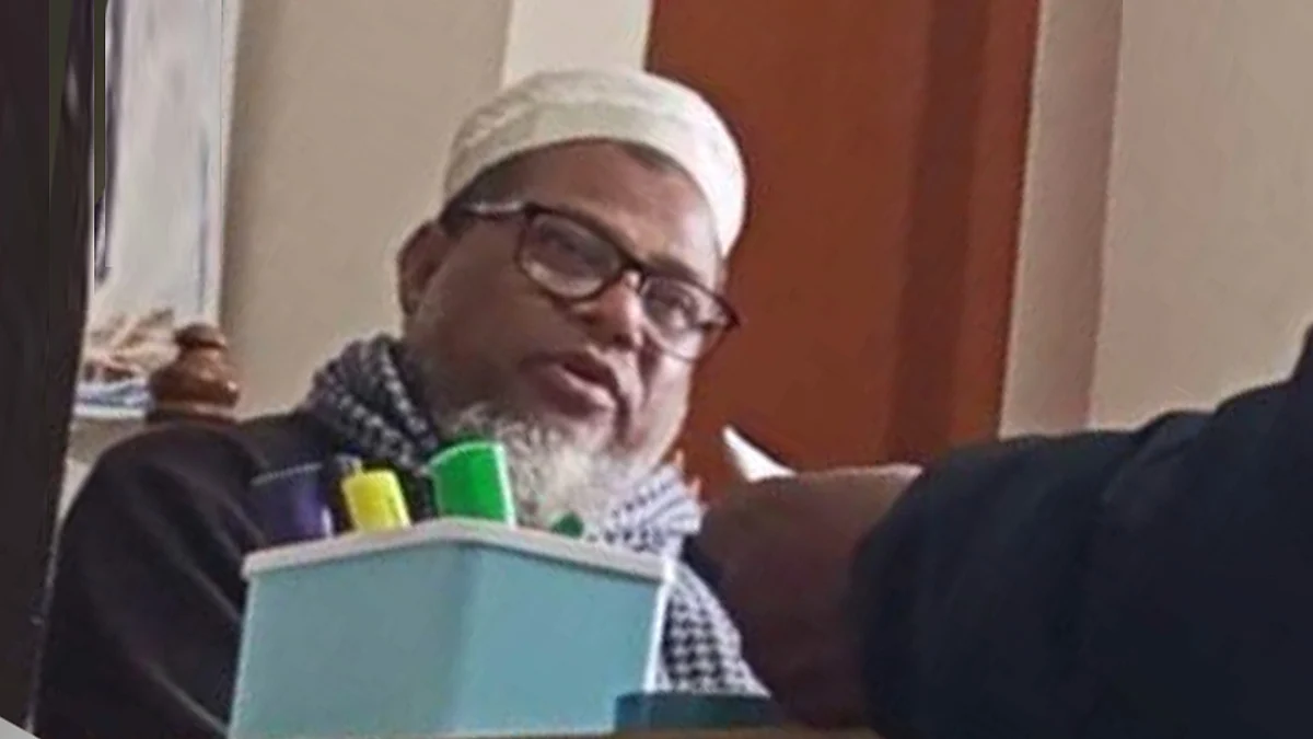 অভিযুক্ত চরবাণী পাকুরিয়া ইউনিয়নের সহকারী ভূমি কর্মকর্তা ছানাউল ইসলাম।