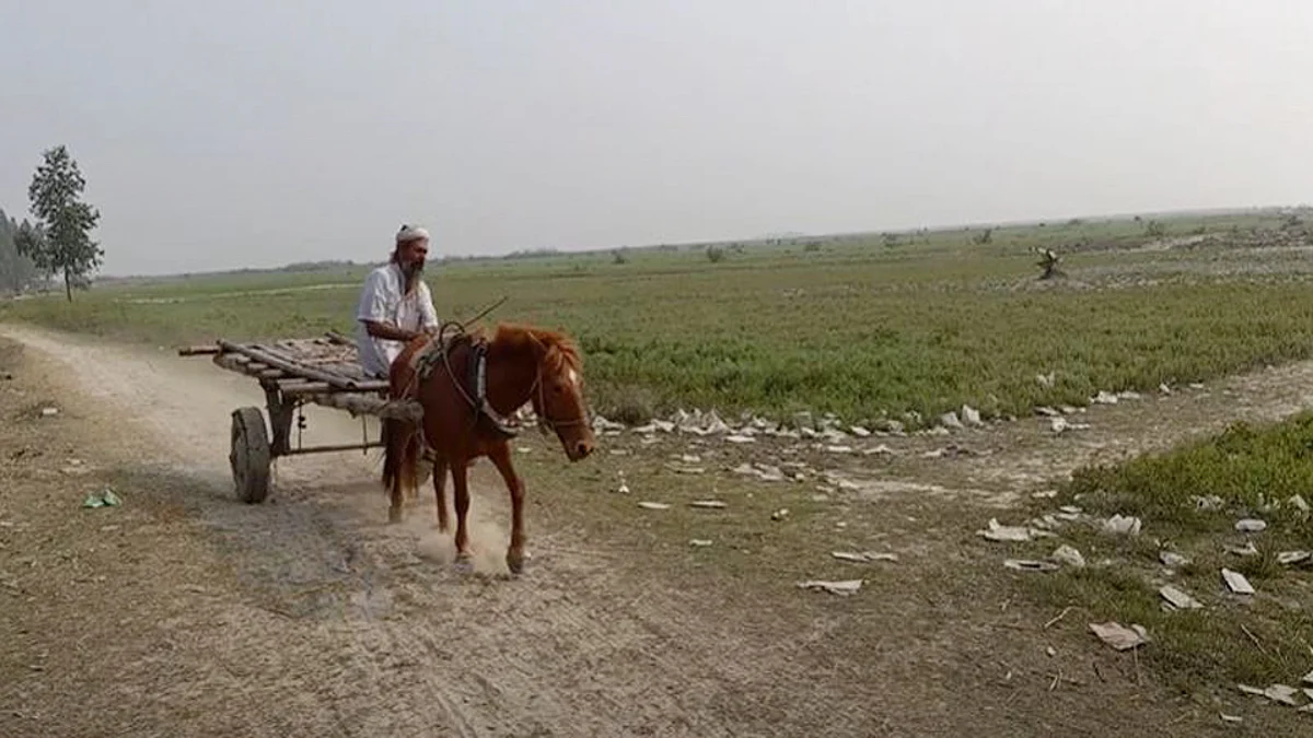 যমুনার চরে ঘোড়ার গাড়ি।