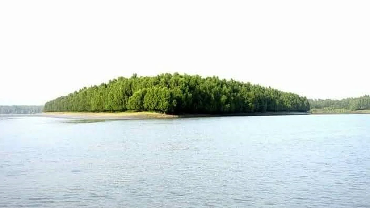 পশ্চিম সুন্দরবনের সাতক্ষীরা রেঞ্জের অভয়ারণ্য।