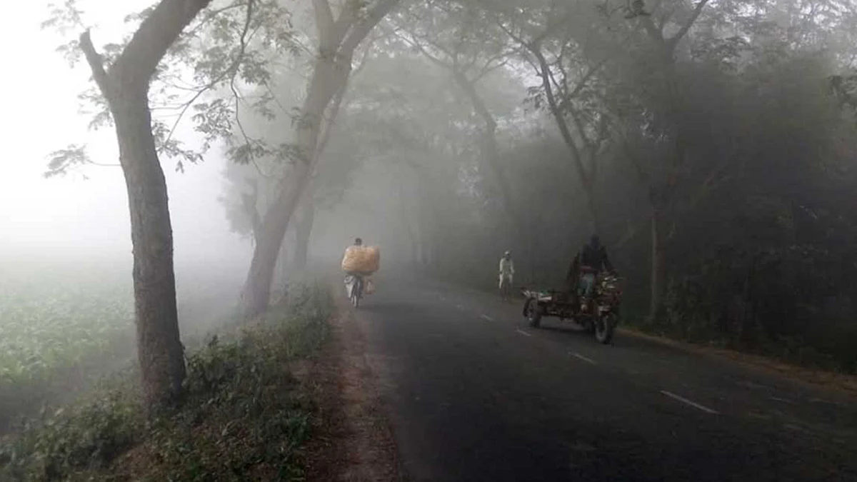 কমে আসবে কুয়াশা, বাড়বে তাপমাত্রা