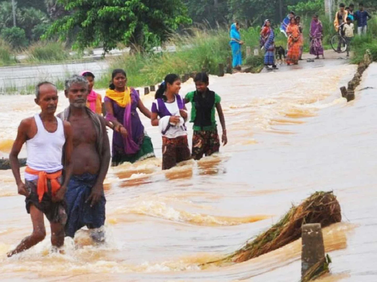 மகாநதியில் வெள்ளப் பெருக்கு; தவிக்கும் கிராமங்கள்!