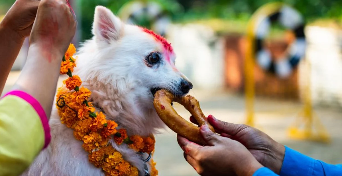 குகுர் திகார்