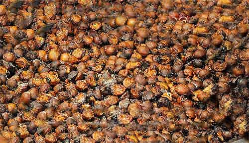 நெய்யப்பம்