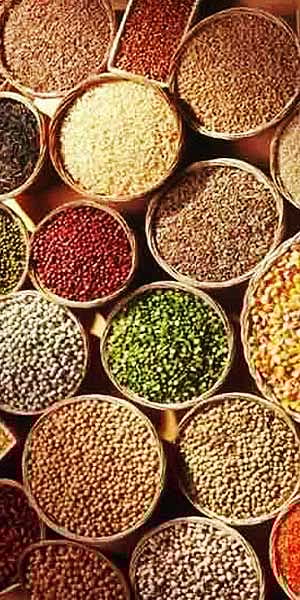 சிறு தானியங்களில் இருக்கும் சத்துக்கள்!