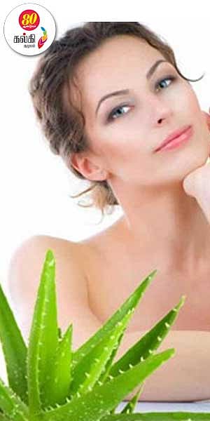 ஆலோவேரா – அறிந்ததும் அறியாததும்!