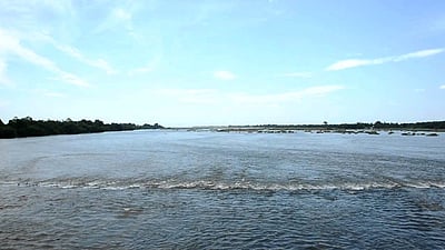 பத்தாண்டுகளில் இல்லாத அளவுக்கு காவிரி நீர் வரத்து குறைவு - அதிர்ச்சி தரும் ஆய்வுகள்!