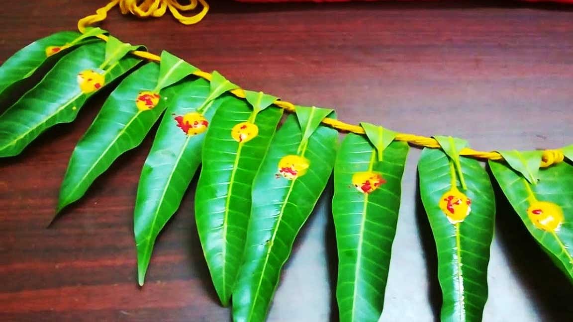 விழாக்களில் மாவிலைத் தோரணங்கள் கட்டுவது எதற்காக?