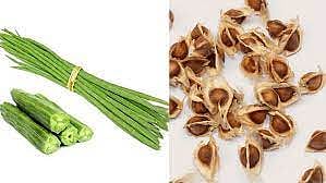 மூட்டு வலியை முடக்கும் முருங்கை விதை.!