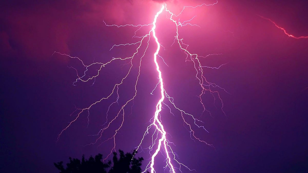 அமெரிக்காவில் மின்னல் தாக்கி இந்திய மாணவி மூளை செயலிழப்பு!