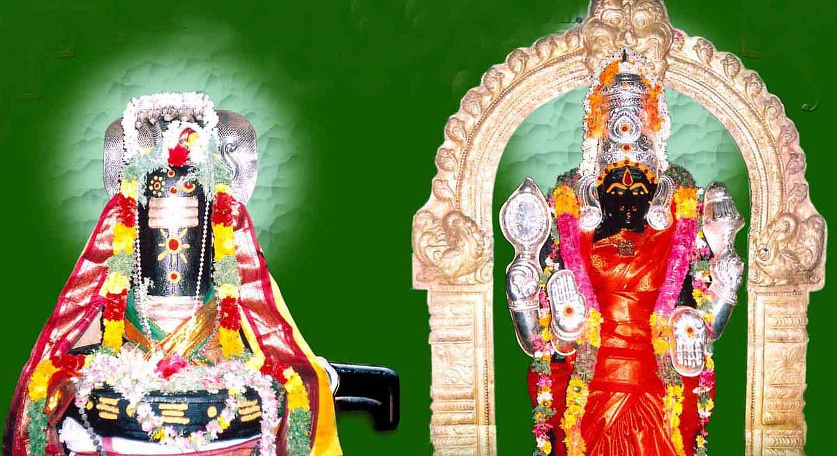 பச்சை குத்திக்கொண்டிருக்கும் பைரவர்!