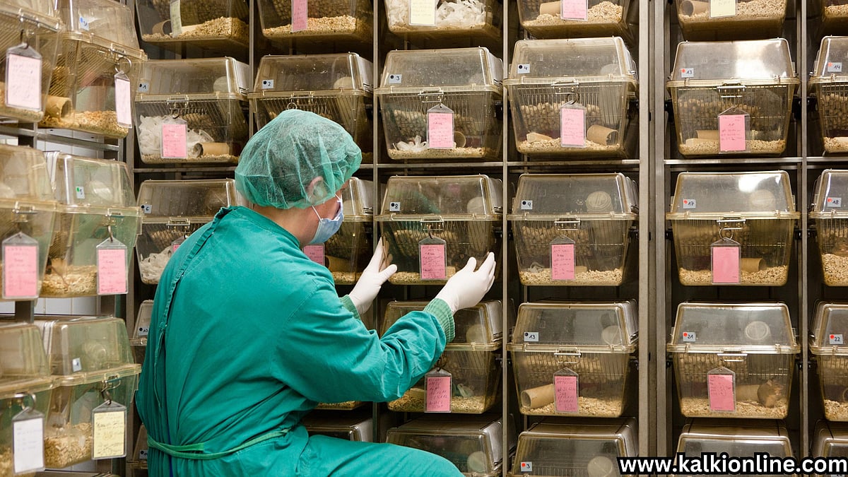 அமெரிக்காவில் கொரோனாவைப் பரப்பும் எலிகளை உருவாக்கிய ஆய்வுக்கூடம் கண்டுபிடிப்பு!