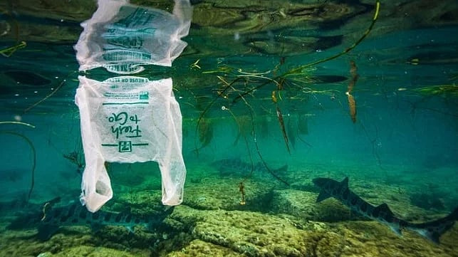 இந்திய கடற்பரப்பில் அதிகம் காணப்படும் பிளாஸ்டிக் கழிவு!