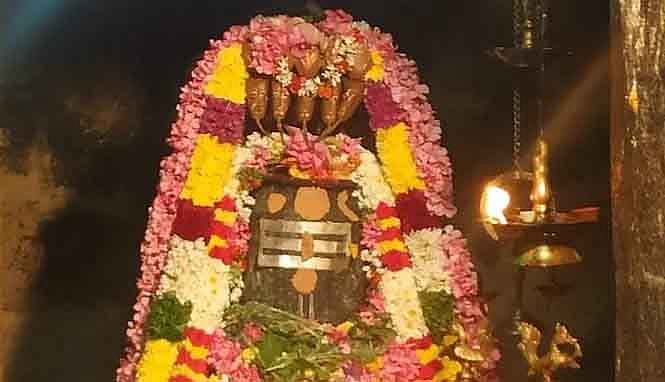 ஆயுள் விருத்தி தரும்
ஸ்ரீ ஆதிமூலேஸ்வரர்!