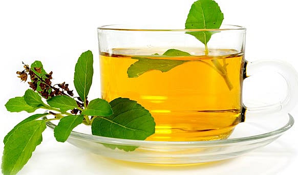 மூலிகைகளின் ராணி துளசி!