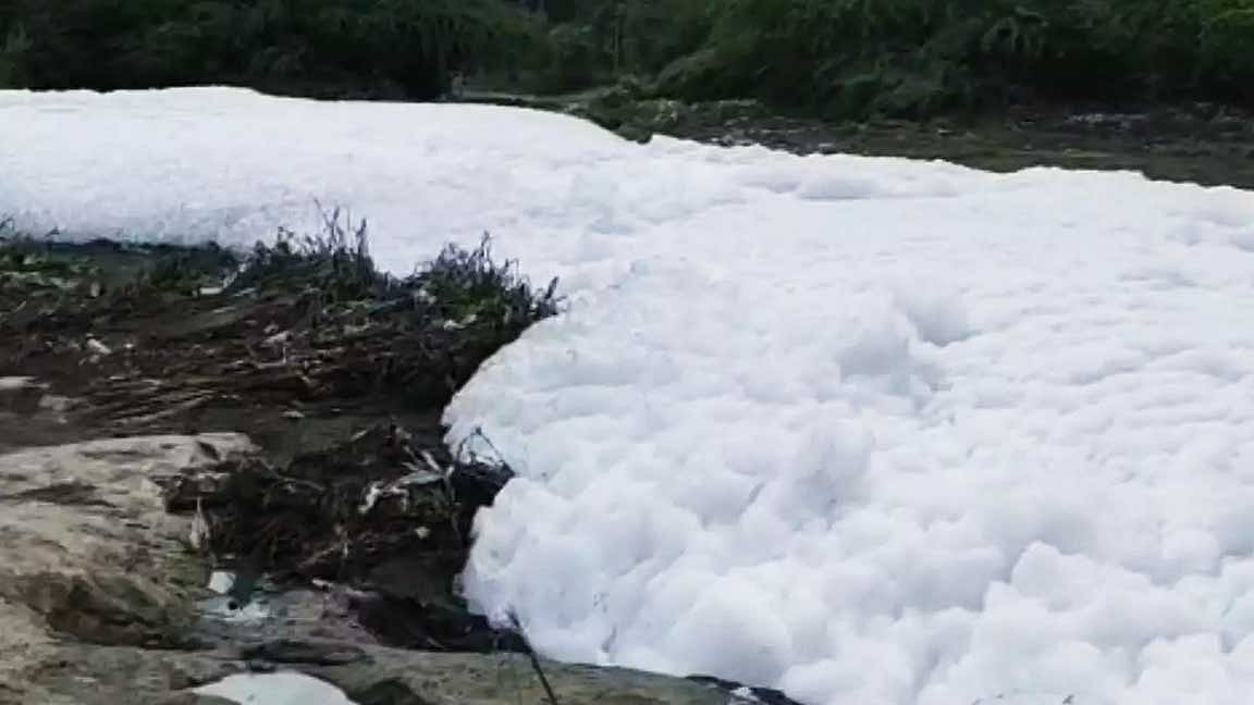 தூர்வாரப்படுமா திருமணிமுத்தாறு. மக்கள் எதிர்பார்ப்பு!