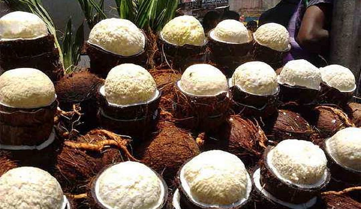 தேங்காய் பூ சாப்பிடுவதால் இத்தனை நன்மைகளா?