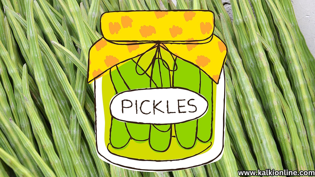 முருங்கைக்காய் ஊறுகாய் இப்படி செய்து பாருங்க!