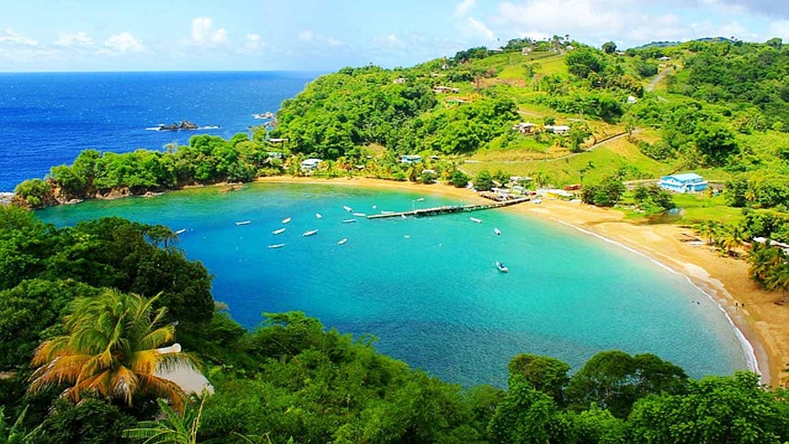 பசுமை முதலீடுகள்!