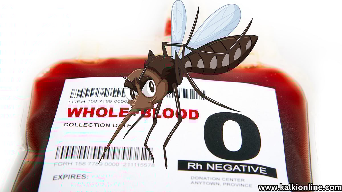 'O' பிளட் குரூப்பும்; கொசுவும்!