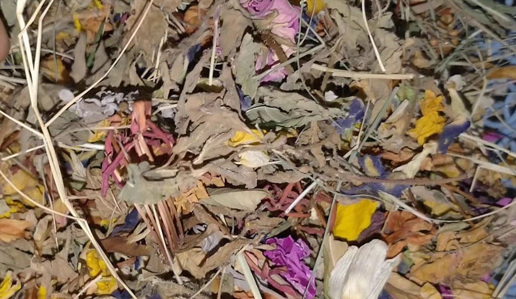 வீட்டிலேயே காய்ந்த பூக்களைக் கொண்டு  மணமணக்கும் சாம்பிராணி செய்யலாம்!