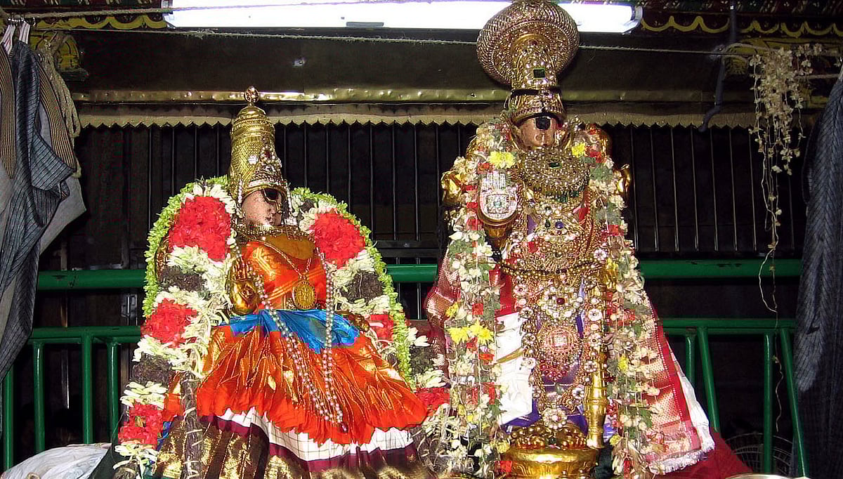 எத்தனை நாக்குகள் இருந்தால் பாட முடியும்?