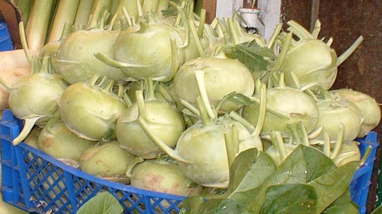 நூக்கலில் இத்தனை நன்மைகளா?