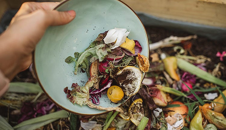 உணவு வீணாவதைக் குறைக்க ஏழு வழிகள்!