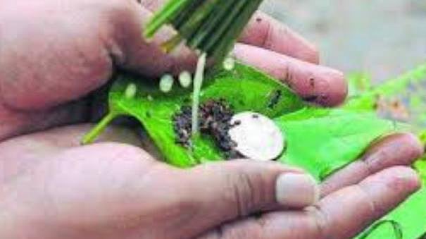 பித்ரு தோஷ நிவர்த்திக்கு வாழைக்காய் ஸ்ராத்தம்?